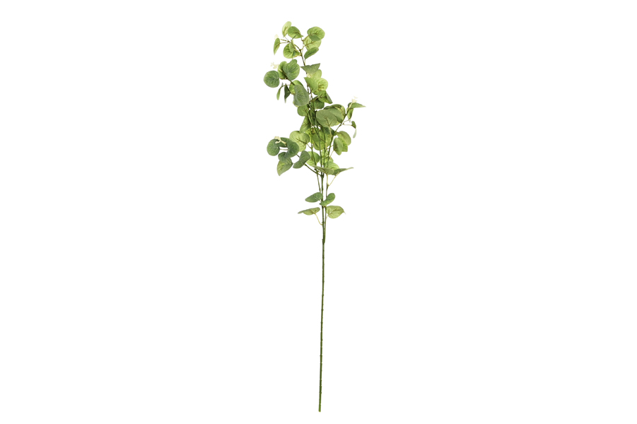 LEAVES BRANCH