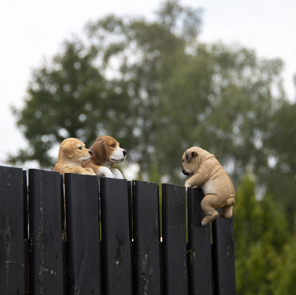 PUPPY HANGER-3 Colors