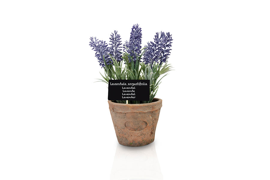 LAVENDER POT