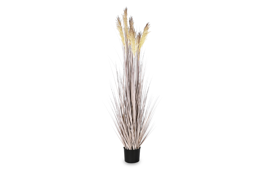 DUSTER PLANT-3 Sizes