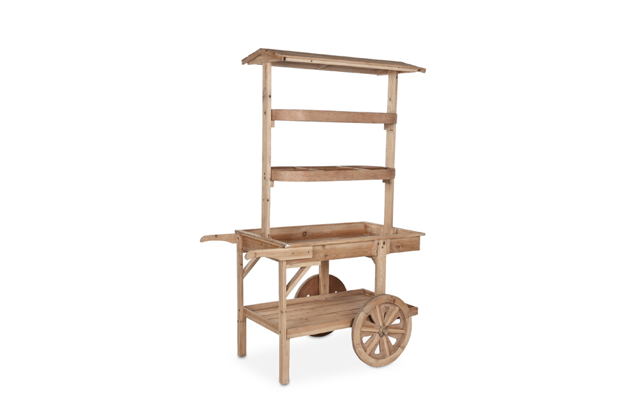 DISPLAY CART