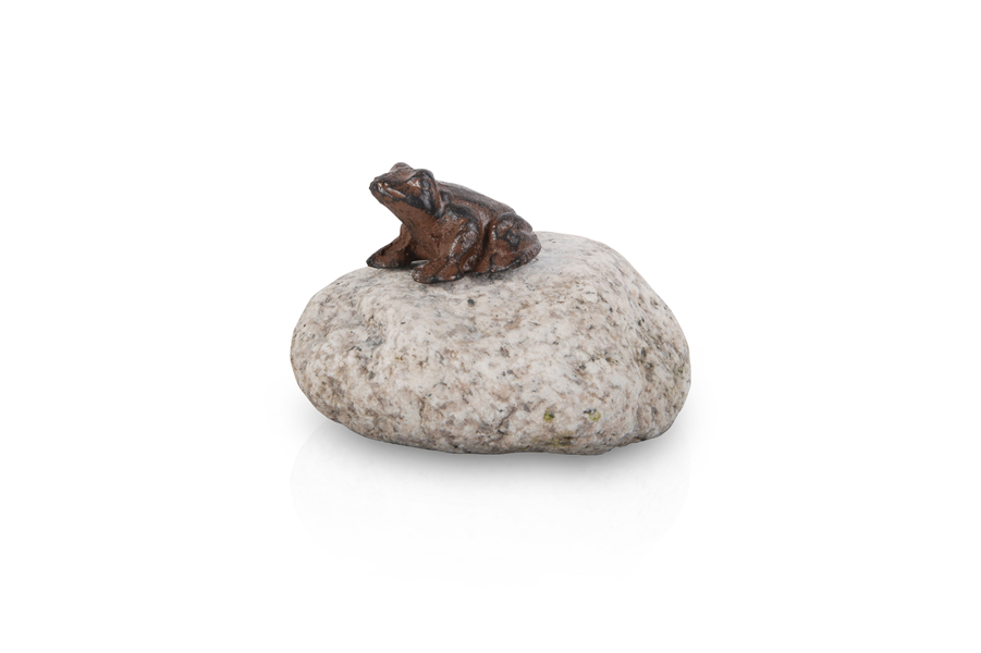 PEBBLE