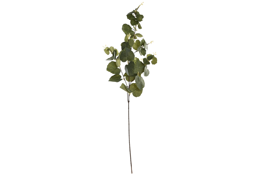 LEAVES BRANCH
