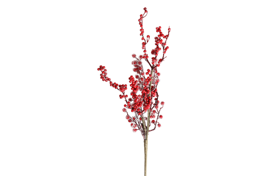 RED BERRIES BRANCH