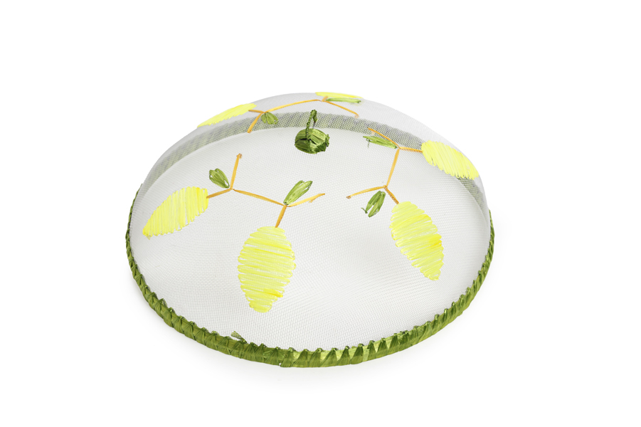 DISH COVER