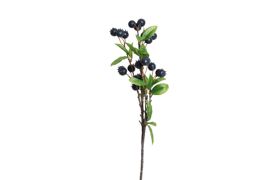 BERRIES BRANCH