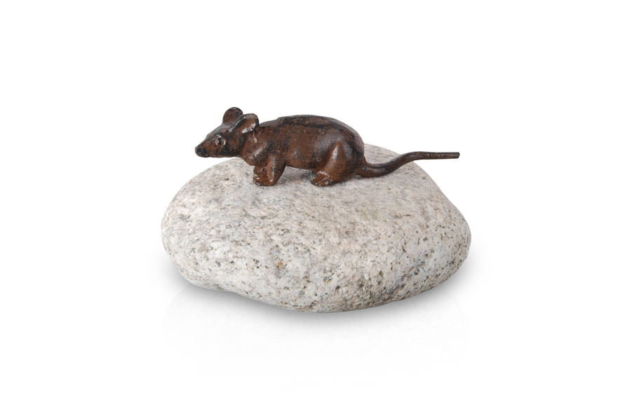 PEBBLE