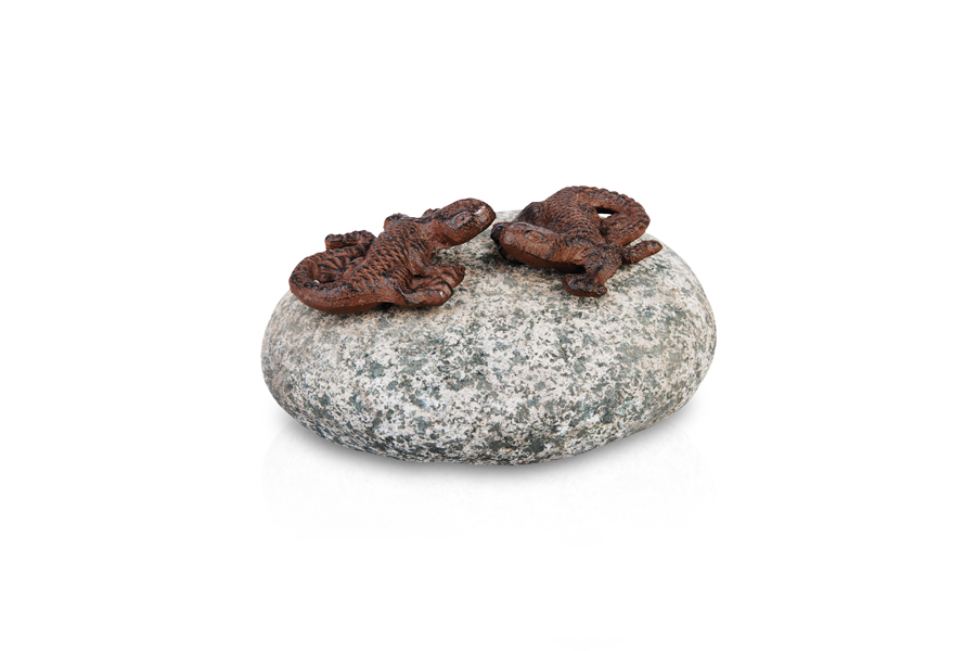 PEBBLE