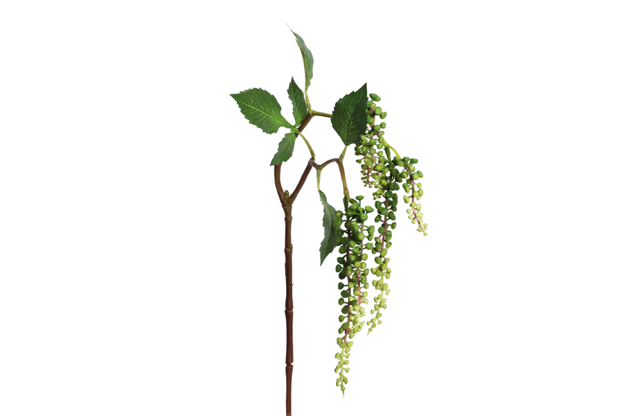 BUDS BRANCH