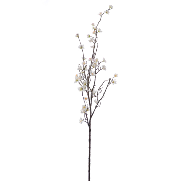 PLUM BLOSSOM BRANCH