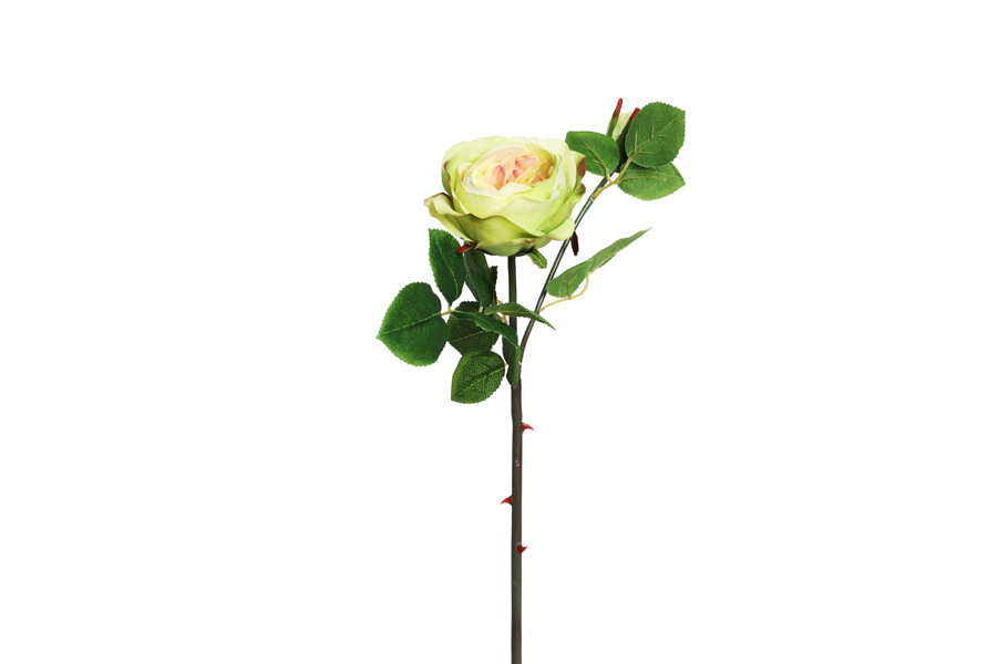 FLOWERS BRANCH