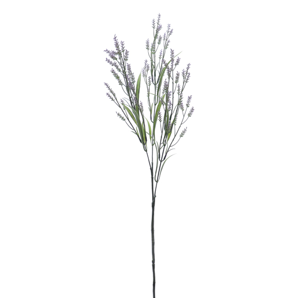 LAVENDER BRANCH