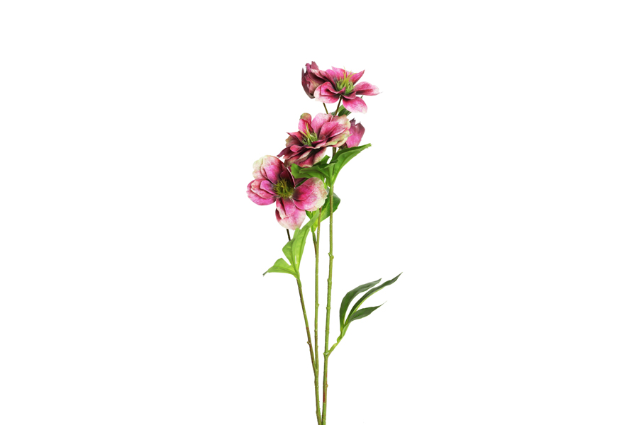 FLOWERS BRANCH