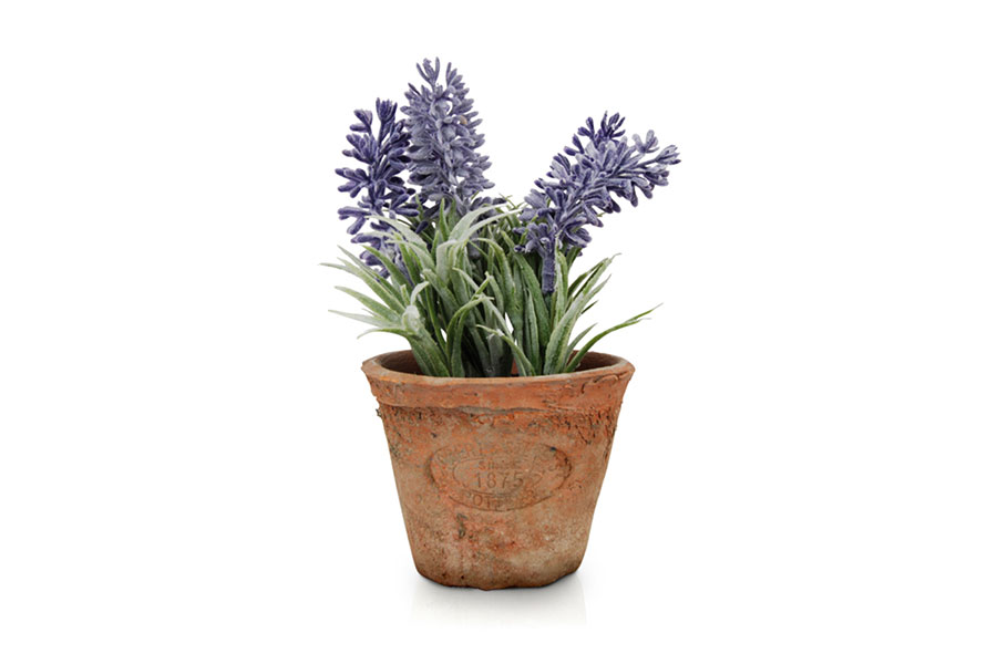 LAVENDER POT