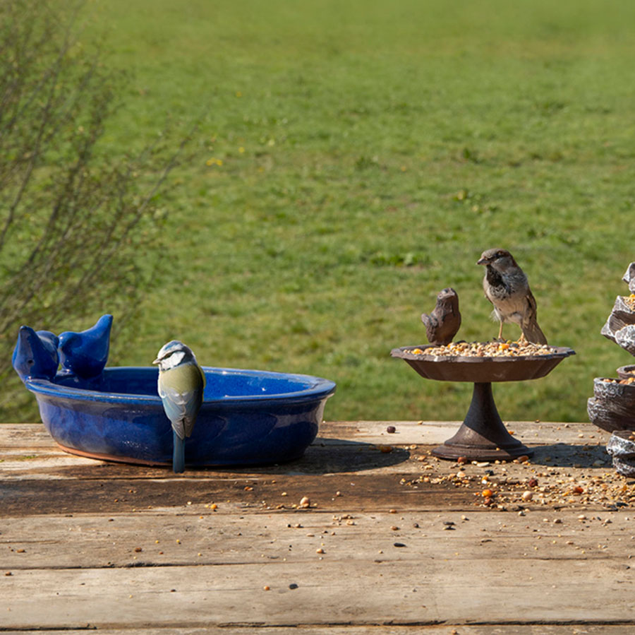 BIRD BATH