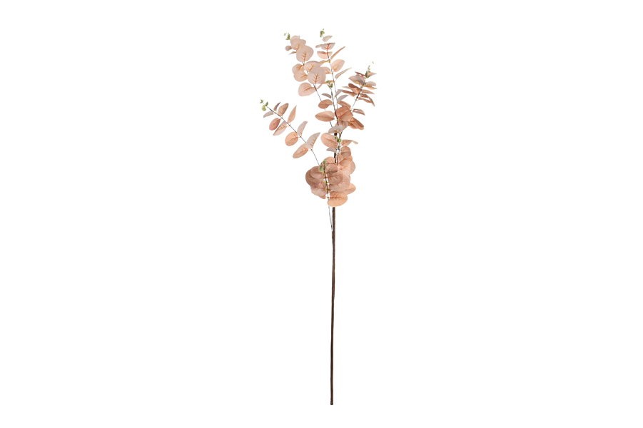 EUCALYPTUS BRANCH