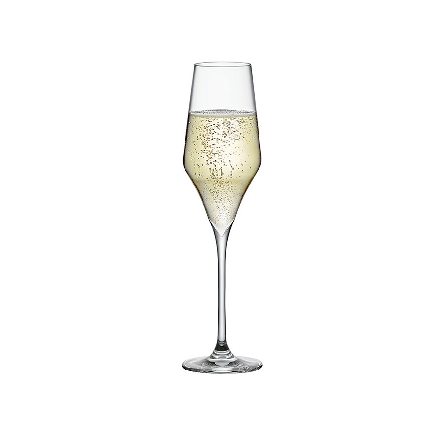 CHAMPAGNE GLASSES - Set of 6