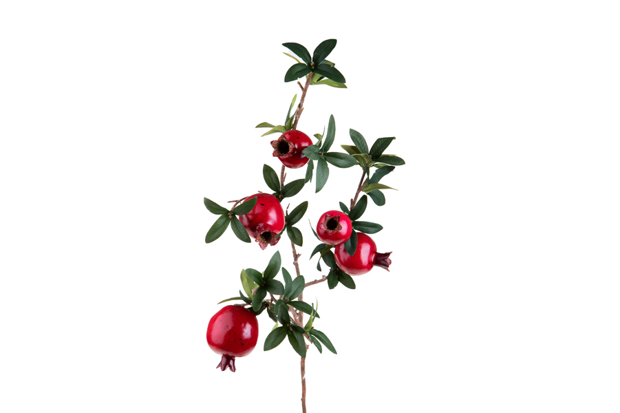POMEGRANATE BRANCH