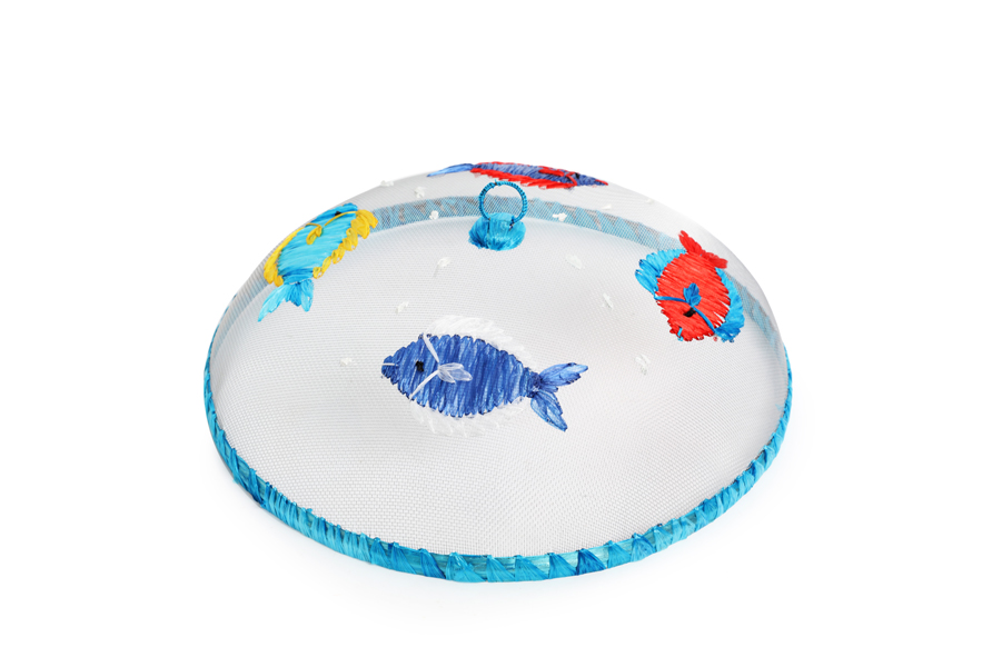 DISH COVER