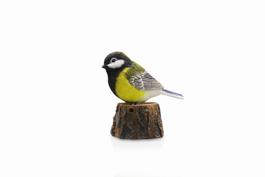 SENSOR BIRD