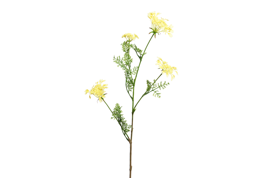 FLOWER BRANCH