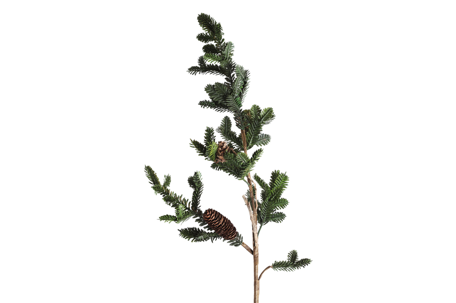 PINES STEM