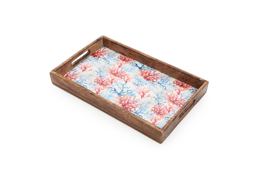 TRAY