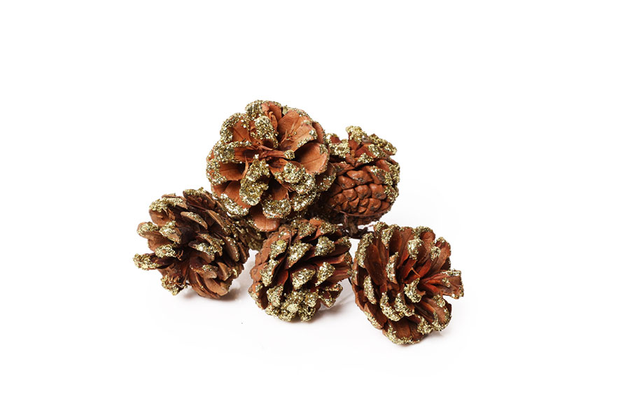 PINE CONE PICK