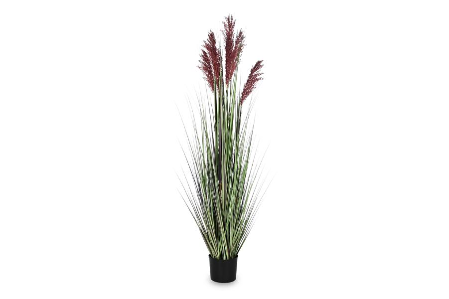 DUSTER PLANT-3 Sizes