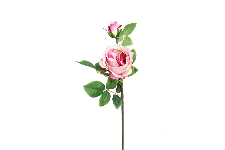 FLOWERS BRANCH