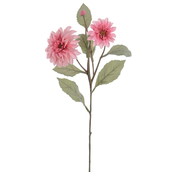 DAHLIA BRANCH