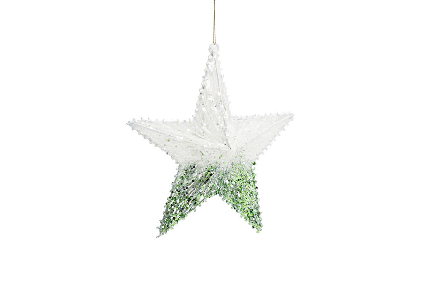 STAR ORNAMENT